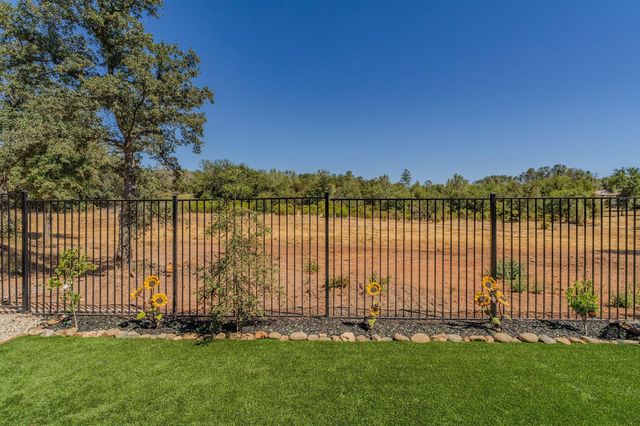 670 Morning Glory Cir, Ione, CA 95640