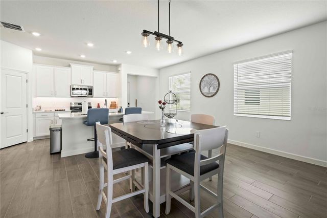 10852 IBIS BROOK COURT, Land O Lakes, FL 34638