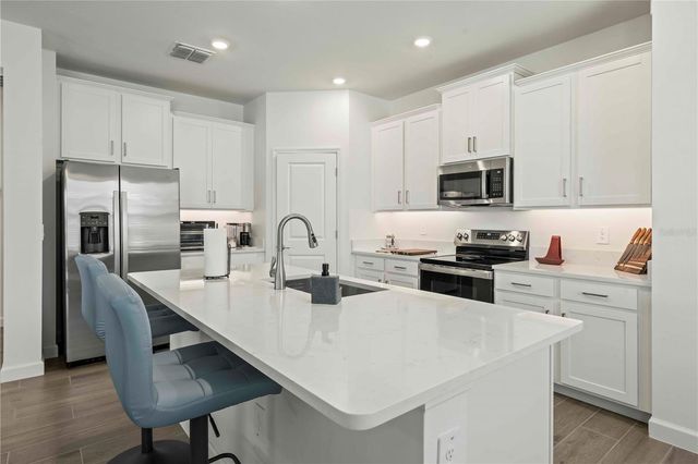 10852 IBIS BROOK COURT, Land O Lakes, FL 34638