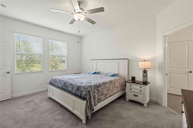 10852 IBIS BROOK COURT, Land O Lakes, FL 34638