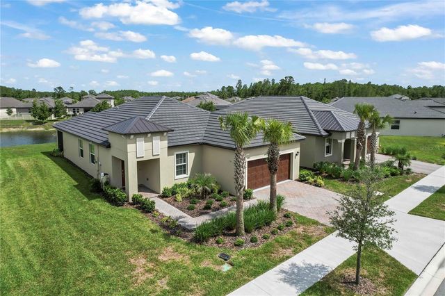 10852 IBIS BROOK COURT, Land O Lakes, FL 34638