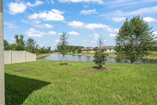 10852 IBIS BROOK COURT, Land O Lakes, FL 34638