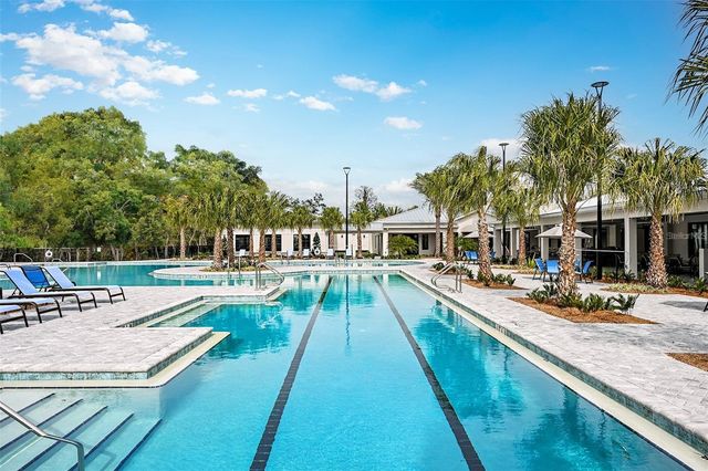 10852 IBIS BROOK COURT, Land O Lakes, FL 34638