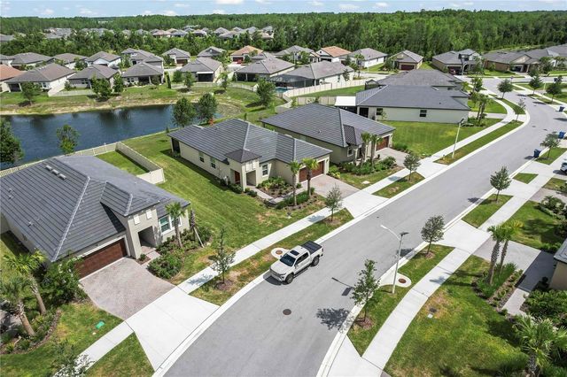10852 IBIS BROOK COURT, Land O Lakes, FL 34638