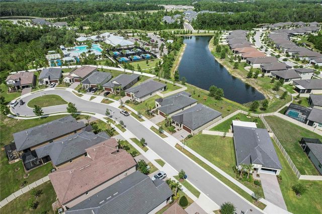 10852 IBIS BROOK COURT, Land O Lakes, FL 34638