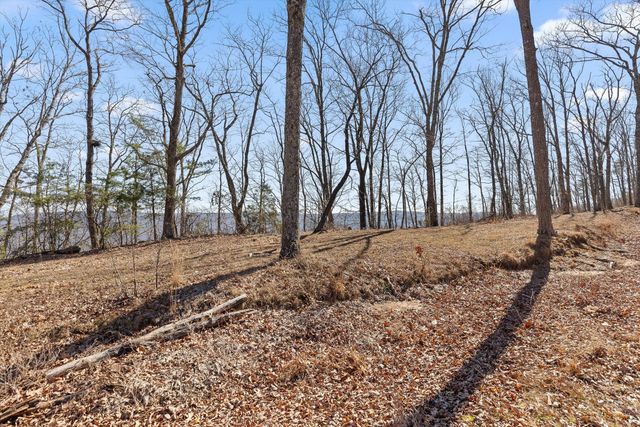 4233 Amethyst Road Homesite 807, Chattanooga, TN 37419