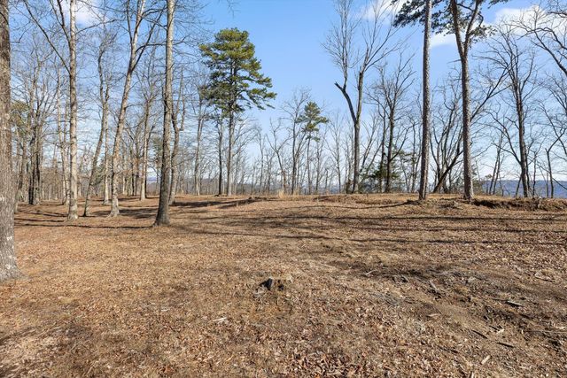 4233 Amethyst Road Homesite 807, Chattanooga, TN 37419