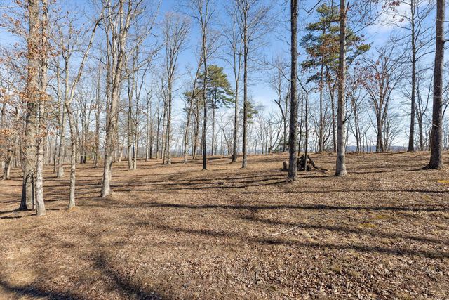 4233 Amethyst Road Homesite 807, Chattanooga, TN 37419