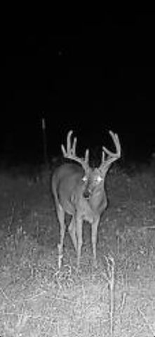 0000 CR 2185, Klondike, TX 75448