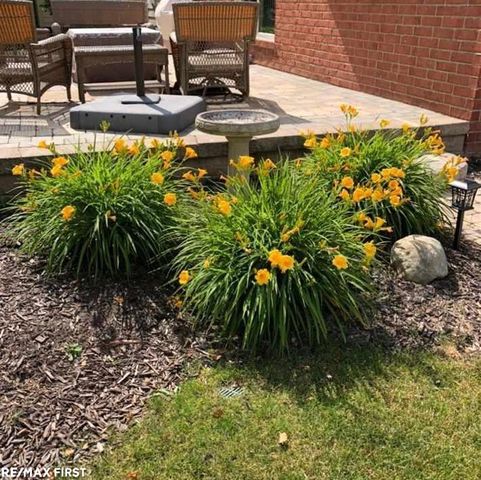 21736 Pine Cone Drive, Macomb Twp, MI 48042