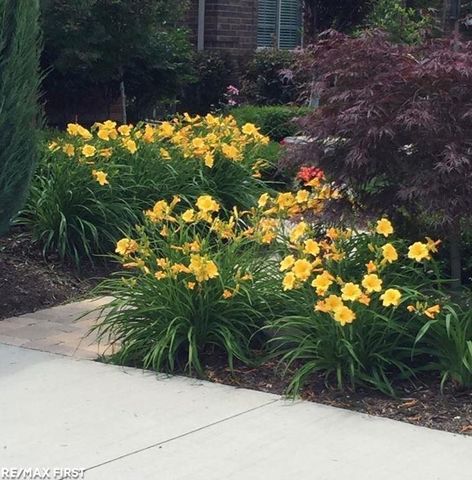 21736 Pine Cone Drive, Macomb Twp, MI 48042