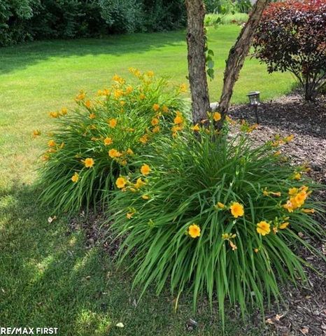 21736 Pine Cone Drive, Macomb Twp, MI 48042