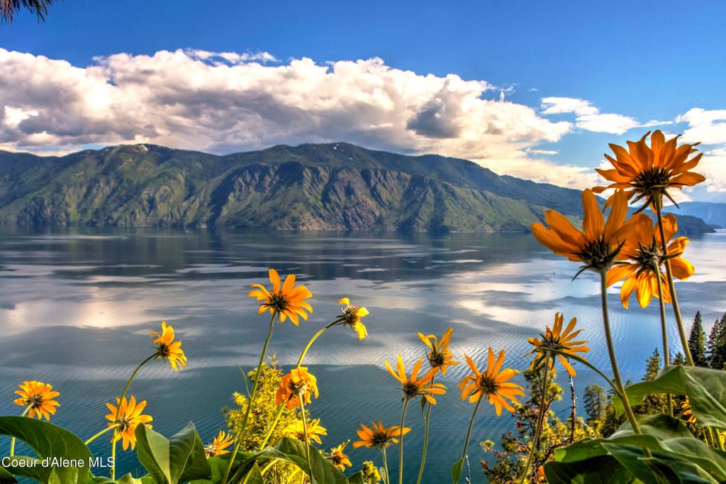 1808 Garfield Bay Rd, Sagle, ID 83860 photo 78