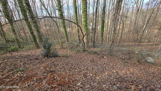 1135 W Outer Drive, Oak Ridge, TN 37830