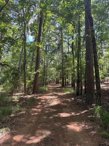 19001 CR 49, Tyler, TX 75704