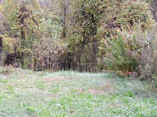 43 Argyle Lane, Asheville, NC 28806