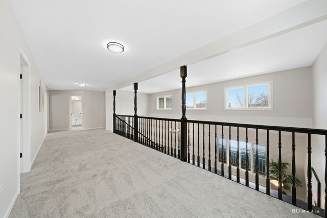 8548 Monaghan Drive, Tinley Park, IL 60487