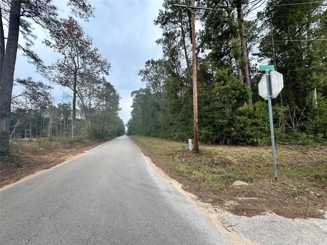 TBD Pine Crest Street, Shepherd, TX 77371