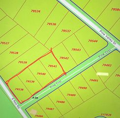 TBD Pine Crest Street, Shepherd, TX 77371