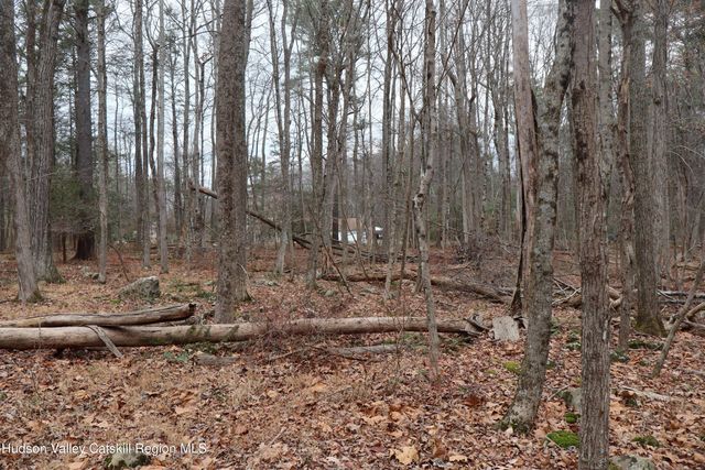 11 Carey Road, West Park, NY 12493