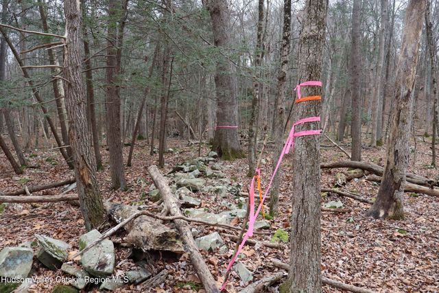 11 Carey Road, West Park, NY 12493