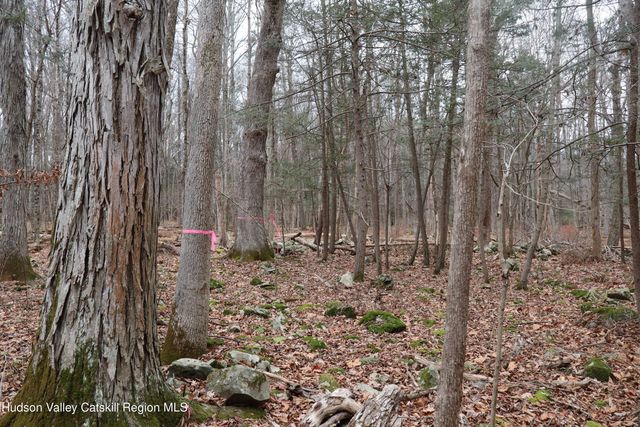 11 Carey Road, West Park, NY 12493