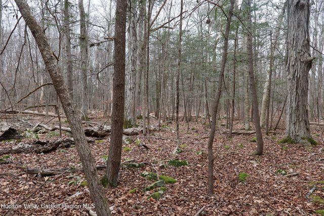 11 Carey Road, West Park, NY 12493