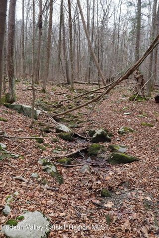 11 Carey Road, West Park, NY 12493