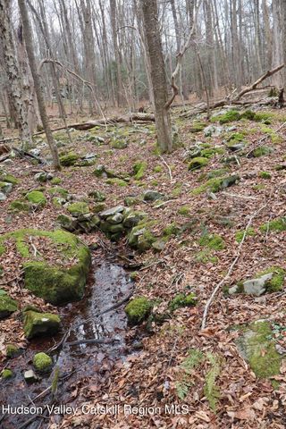 11 Carey Road, West Park, NY 12493