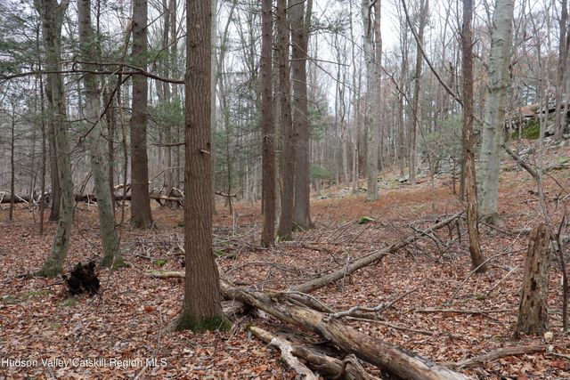 11 Carey Road, West Park, NY 12493