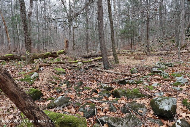 11 Carey Road, West Park, NY 12493