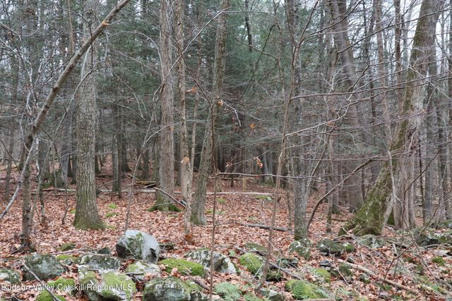 11 Carey Road, West Park, NY 12493