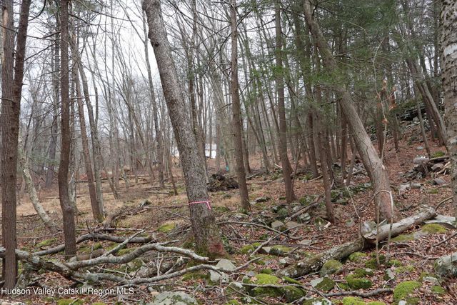 11 Carey Road, West Park, NY 12493