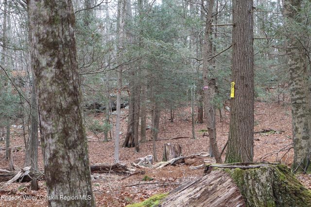 11 Carey Road, West Park, NY 12493