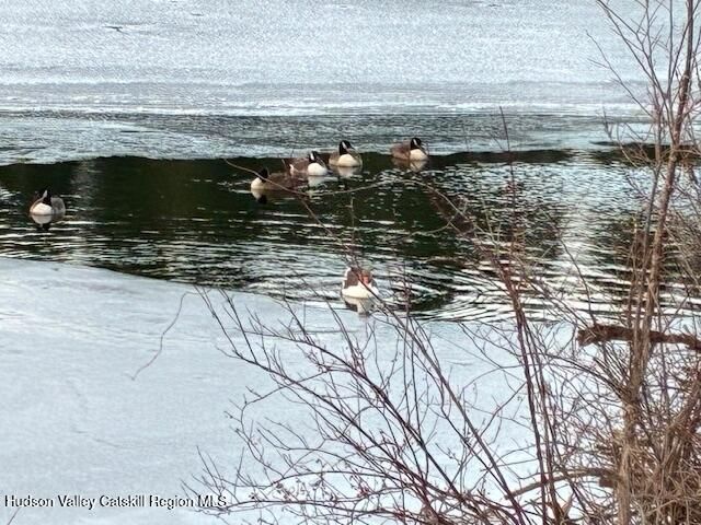 11 Carey Road, West Park, NY 12493