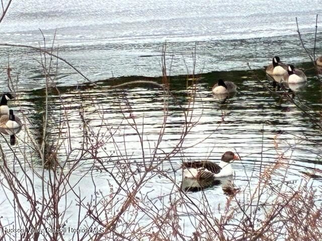 11 Carey Road, West Park, NY 12493