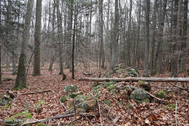 11 Carey Road, West Park, NY 12493