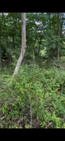 0 Wexford Rd, Pine Twp, PA 15090