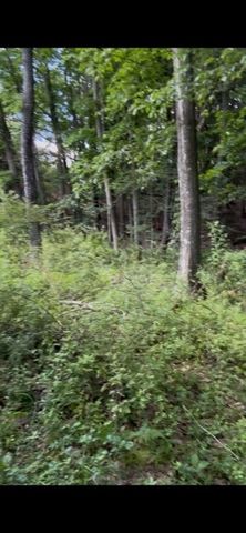 0 Wexford Rd, Pine Twp, PA 15090
