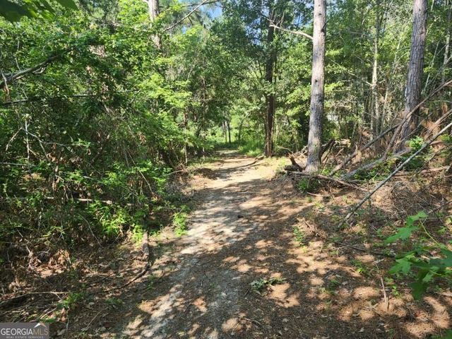 184 Eagle Pass, Swainsboro, GA 30401