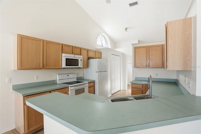 206 ROCHESTER LOOP, Davenport, FL 33897