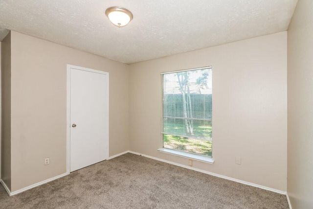 15306 Evergreen Place Drive, Houston, TX 77083