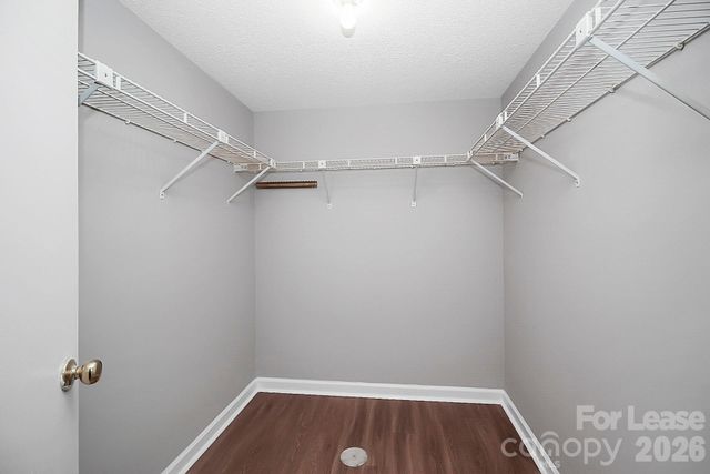 5823 Green Forest Drive, Charlotte, NC 28212