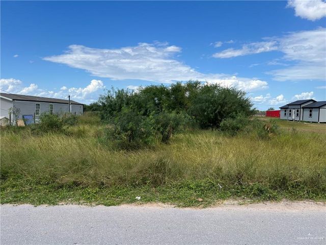 8902 Vista De Palmas Drive, Edcouch, TX 78538