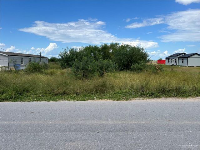 8902 Vista De Palmas Drive, Edcouch, TX 78538