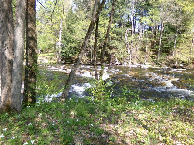 55 Riverside Dr. Drive, Constable, NY 12926