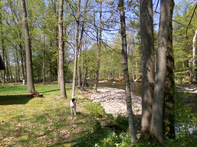 55 Riverside Dr. Drive, Constable, NY 12926