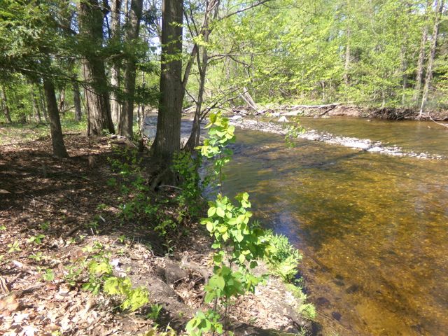 55 Riverside Dr. Drive, Constable, NY 12926
