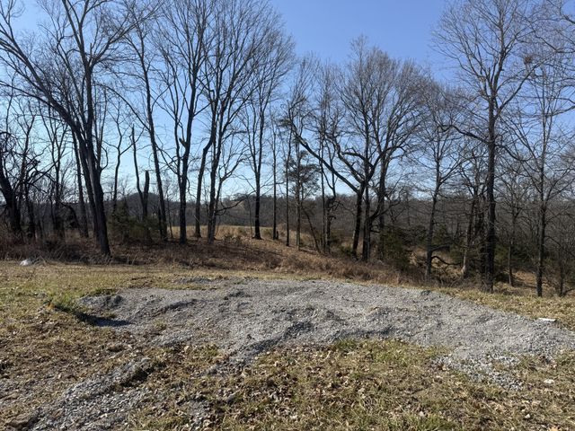 9900 Amarosa Ct, Brentwood, TN 37027