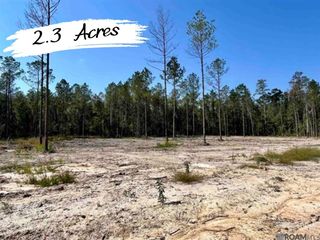 26250 Wagon Wheel Drive, Holden, LA 70744